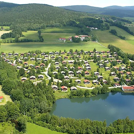 Feriendorf-am Hohen Bogen 100s